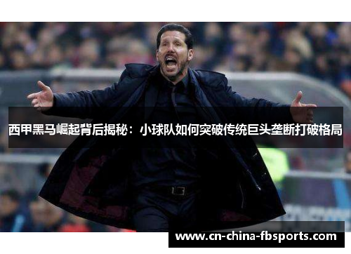 西甲黑马崛起背后揭秘：小球队如何突破传统巨头垄断打破格局
