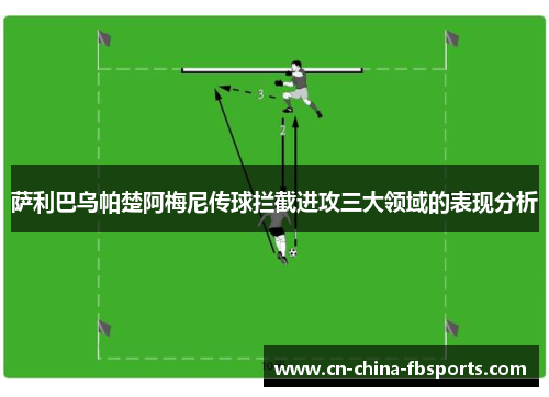 萨利巴乌帕楚阿梅尼传球拦截进攻三大领域的表现分析