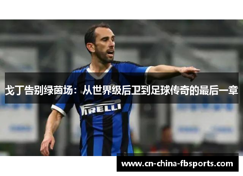 戈丁告别绿茵场：从世界级后卫到足球传奇的最后一章