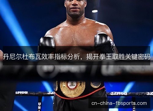 丹尼尔杜布瓦效率指标分析，揭开拳王取胜关键密码